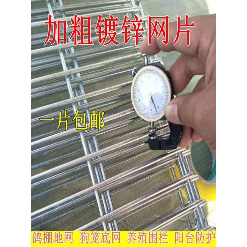 长孔镀锌铁丝网片鸽舍围网热镀锌钢丝网养殖加粗加密地网防护格网
