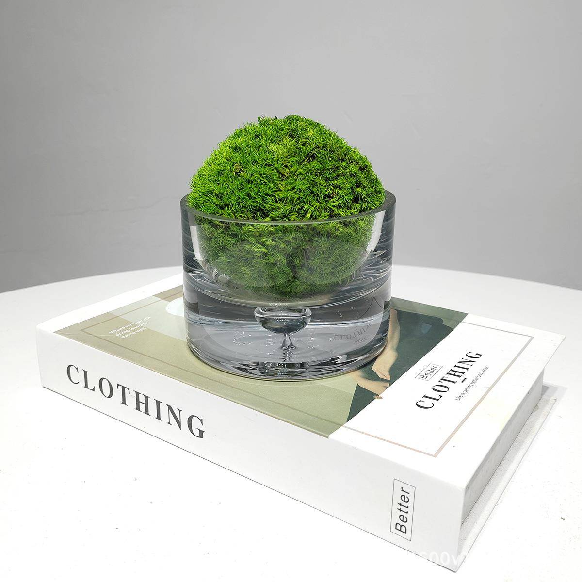 现代轻奢仿真苔藓小植物摆件客厅茶几卫生间装饰花艺盆栽装饰摆设