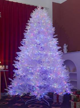 变境热销圣诞树跨LED炫彩白色可调节圣诞节装饰BC-19摆件色仿真圣