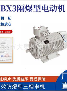 山东井荣成大泰YBZWKK煤矿下用隔爆型3830/660/11V40V双电压马达