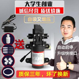 金线泉直饮机净水器自吸泵超滤机外置增压泵小型水泵自动泵隔膜泵