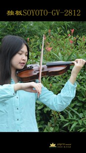 索雅特GV281独板手工小提琴 虎纹小提琴直播选琴