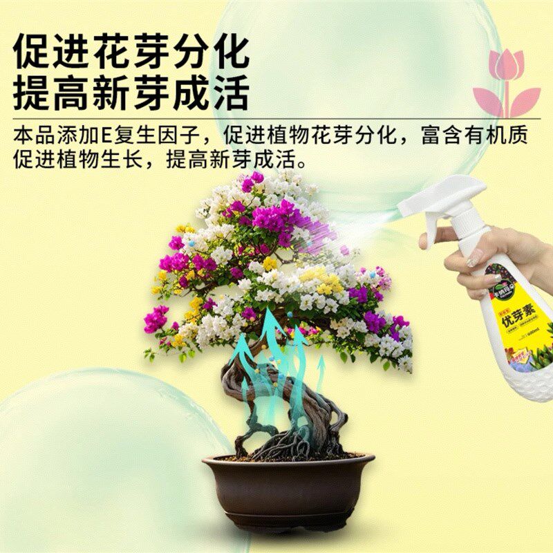 卡纳玛朵优芽素植物通用营养液多肉三角梅促芽催芽爆芽叶插叶面肥