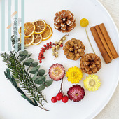 伴手礼礼盒配饰松果树叶肉桂柠檬片干燥花装 饰材料diy植物画香薰