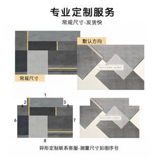 玄关地毯 入户门地垫进门耐脏脚垫家用轻奢门垫免洗防滑垫2023新款
