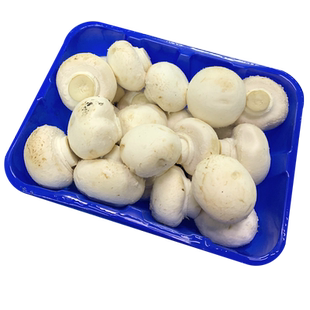 新鲜蘑菇约500g 食用菌口蘑鲜白蘑菇 口菇 双孢菇 满5件包邮