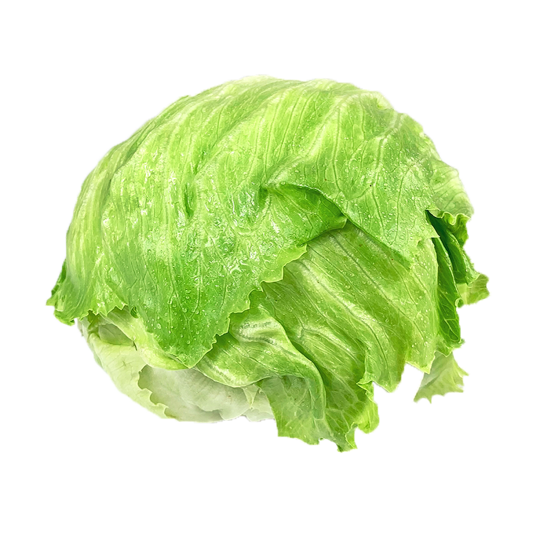 汉堡沙拉用生菜新鲜球生菜500g