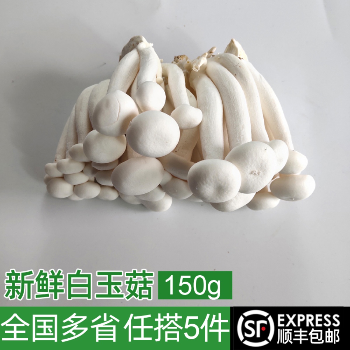 新鲜白玉菇150g农家蔬菜火锅包邮