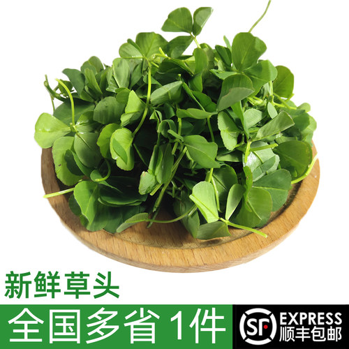农家蔬菜炒菜食材新鲜草头