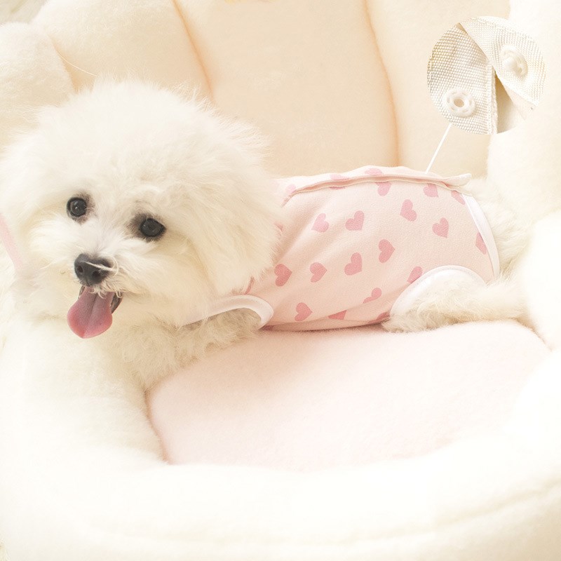 速发衣服春防装小型茶杯犬全奶护肚子断包家居打底包肚秋着凉