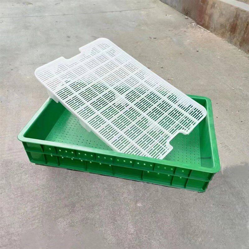 速发盆景养护沙盘塑料花生芽种植育苗盘种催芽撒播圆孔穴盘黑色水