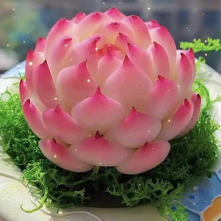 速发法兰西玫瑰 多肉植物大颗台m组合贵货办栽盆公桌面c好养