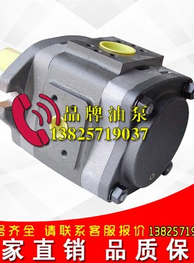 速发现货全新代替福伊特高压齿轮泵-PV- 08101液压泵IPVI125 101