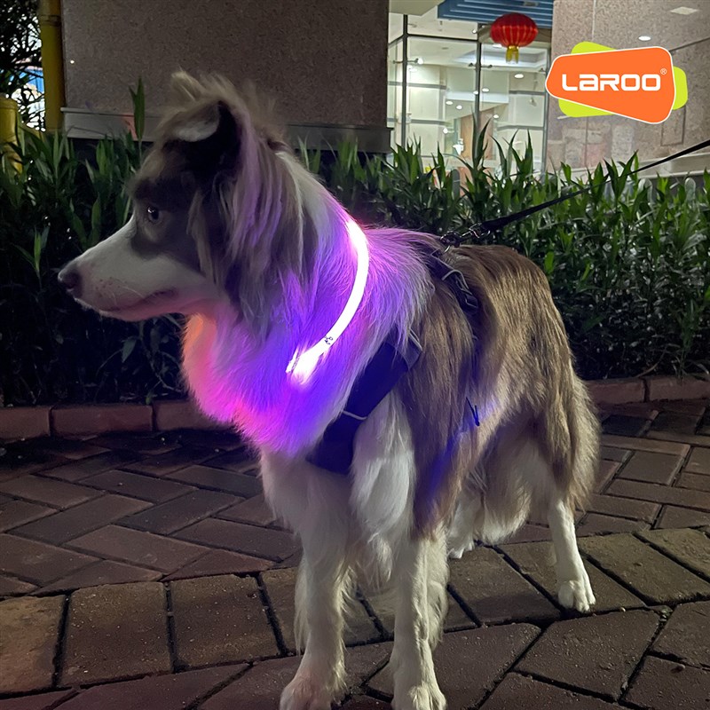 速发Loo莱诺F间色发光圈充光全亮电夜双遛狗防走丢安全发光项圈