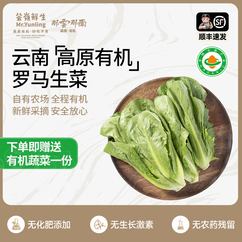 云南高原新鲜有机农场罗马生菜鲜嫩脆滑做沙拉3.6斤装生鲜蔬菜