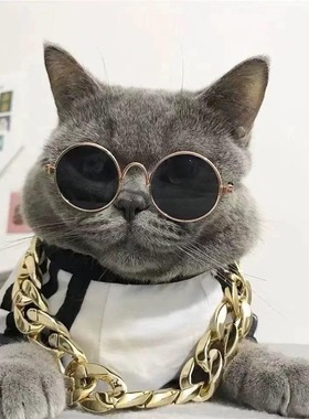 狗铃铛项圈宠物用品泰迪狗专用中