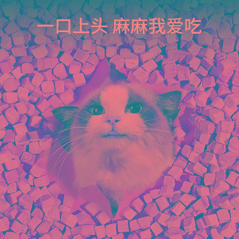 速发猫咪冻干零食鸡肉发肉肥粒腮鸡胸增鹌鹑三文鱼营养A1