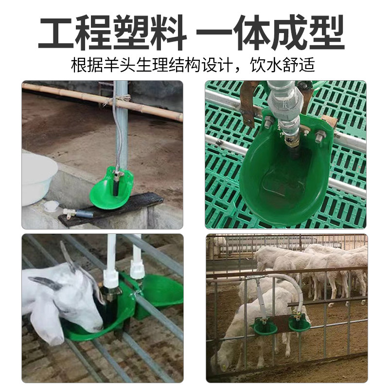 速发塑料羊用饮水碗铜阀饮水器羊自动饮水碗铸铁水碗抗摔碰养殖羊