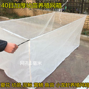 速发网箱养幼网专用养鱼40箱网目网养殖网黄鳝泥鳅鱼苗殖苗夏花网