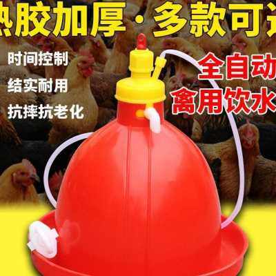 速发鸡用养鸡饮水器普拉松喂鸡水壶水槽鸭鹅喂水器设备用品养殖自