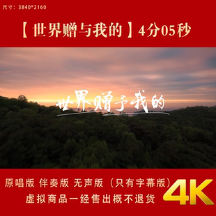 王菲 世界赠予我的 歌词伴奏视频 舞台led 大屏幕背景视频