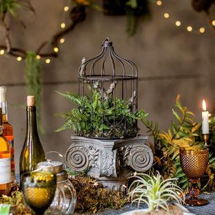 掬涵铁艺鸟笼花艺花器彷真植物微景观蕨叶绿植装饰品陈列摆件挂饰