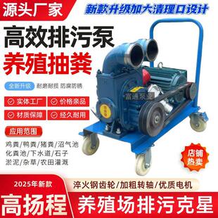 养殖场抽粪泵无堵塞鸡粪化粪池新款吸粪泵专用污水泵强力排污猪粪