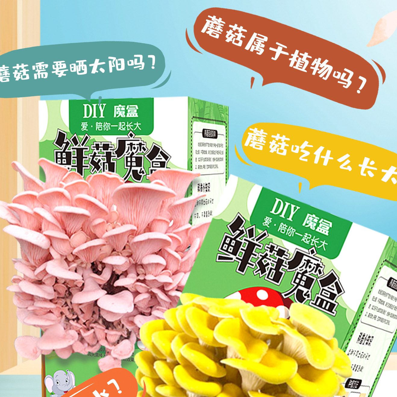 【下单立减50】 蘑菇盒子菌包菌棒种植家用学校奖礼品幼儿园 WF