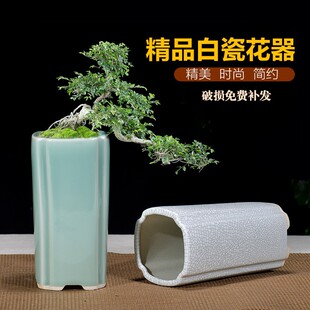 紫砂花盆青瓷釉兰花盆高盆多肉盆栽四方六方形签筒悬崖盆景盆白色