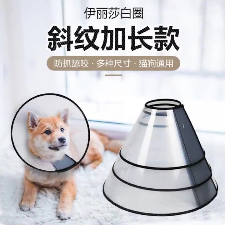 伊丽莎白圈狗狗猫咪项圈脖套防舔咬圈软伊莉莎白圈宠物头套项圈子