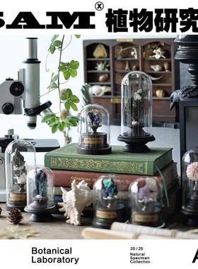 自然标本/海胆/骨骼/化石/自然集/中古摆件/家居美学/装饰陈列