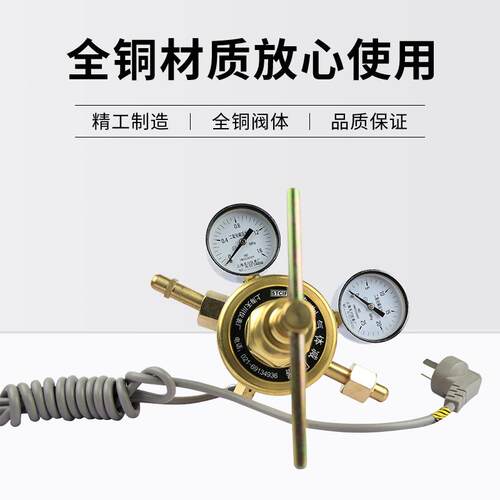 上海YQTG-343减压4器 YQTG-323 1.6*5MP 管道式 二氧化碳电加热减