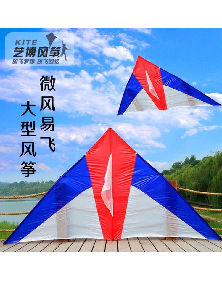 正品王侉子风筝544软伞布碳杆三角风筝 大型高档夜光风筝易飞包邮