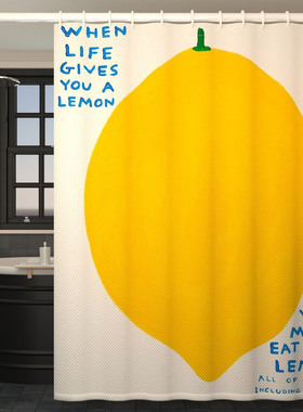 小清新浴帘防水布速干免打孔卫生间窗帘淋浴帘隔断帘不透明挂帘厚