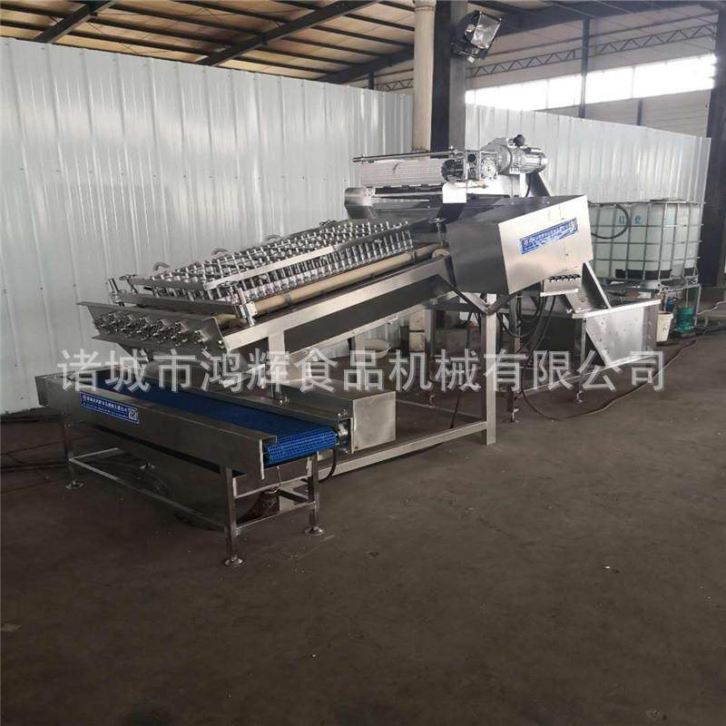 小型剥虾机 白对虾去皮机 全自动脱皮机完整虾尾对虾扒皮机,橡塑材料及制品,PBS,淘宝优惠券,粉丝福利购,淘宝优惠卷