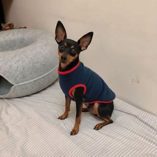 小鹿犬吉娃娃宠物狗狗专用小体型犬带牵引扣两脚衣服过冬天保暖用