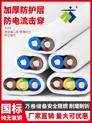 BVVB/RVVB白色硬/软芯护套线