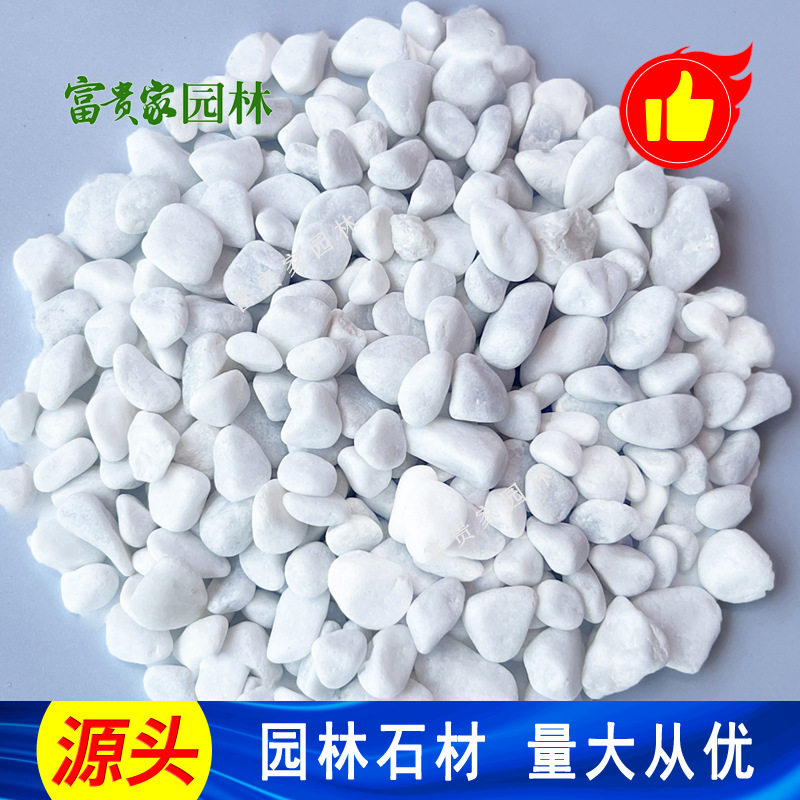 树坑枯山水庭院造景白石子 白卵石鱼缸铺底花盆铺面用白色鹅卵石