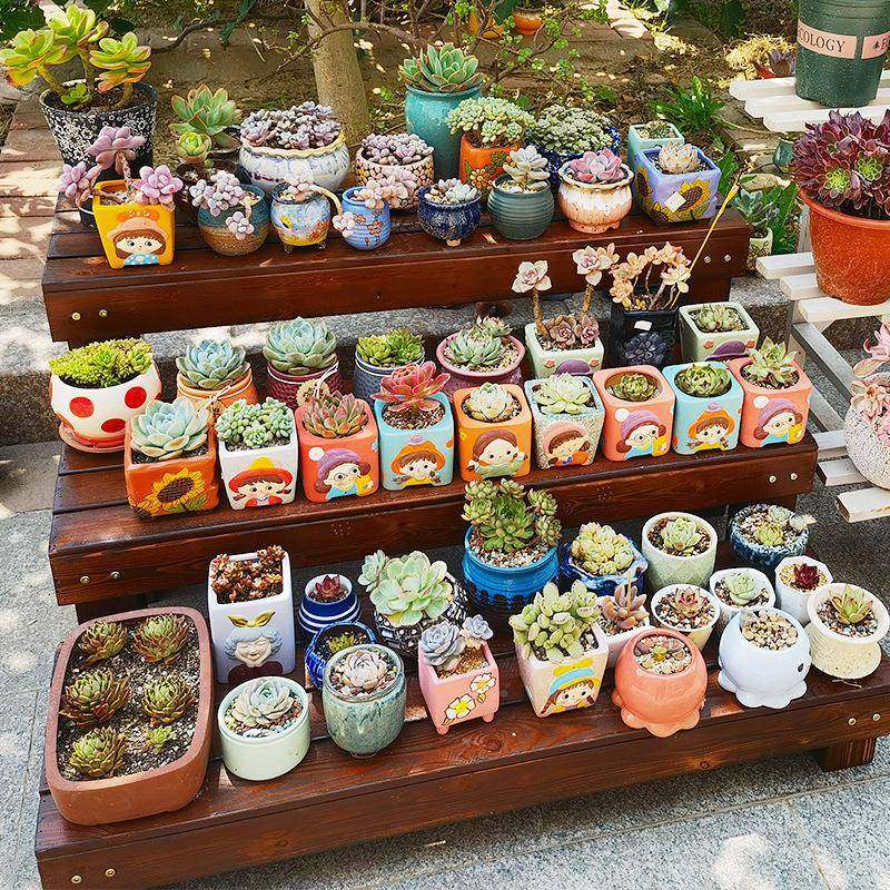 置物架花盆t阳台防FS758277腐木花架鱼实木阶梯多架层多肉架缸架,鲜花速递/花卉仿真/绿植园艺,割草机/草坪机,淘宝优惠券,粉丝福利购,淘宝优惠卷