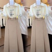 国风套装 2025夏季 新款 新中式 盘扣显瘦衬衫 半身裙减龄气质两件套潮