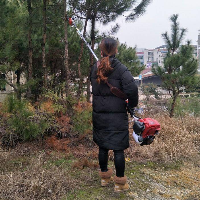 高枝油锯锯高枝果树修JXP高枝锯割草机汽油锯修树空高枝汽油高枝