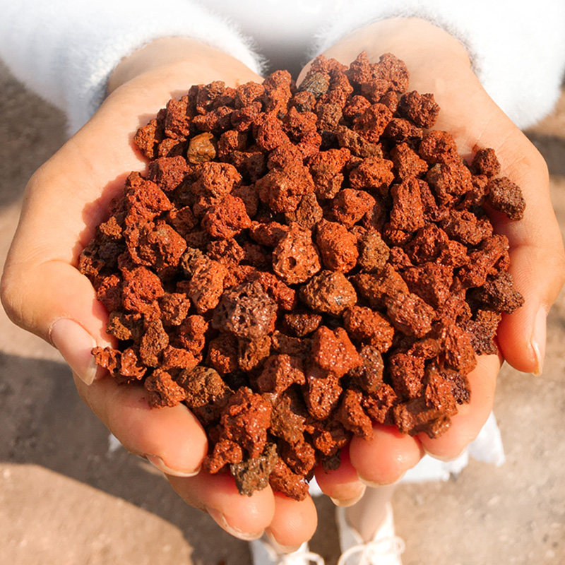 火山石颗粒兰花专用营养土腾冲天然透气鱼缸造景多肉铺面石100斤,鲜花速递/花卉仿真/绿植园艺,介质/营养土,淘宝优惠券,粉丝福利购,淘宝优惠卷