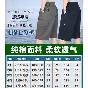 短裤 纯棉多口袋男士 爸爸夏季 宽松透气中老年人松紧腰中裤 薄 七分裤