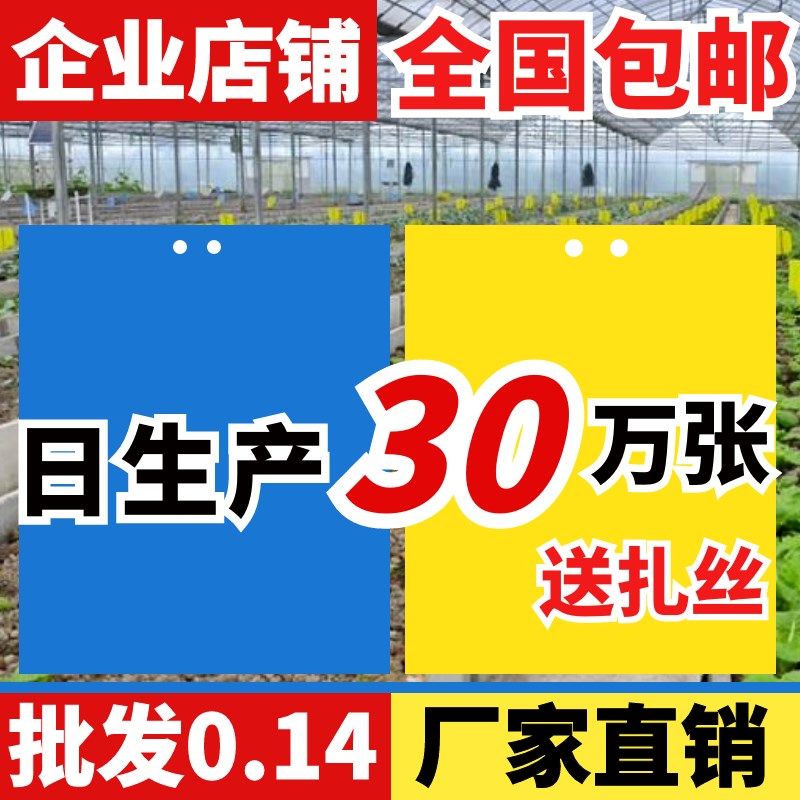 双面大棚粘虫板果园诱虫板飞虫贴黄蓝黏虫胶沾白粉虱小蛾黑飞蓟马,鲜花速递/花卉仿真/绿植园艺,其它园艺用品,淘宝优惠券,粉丝福利购,淘宝优惠卷