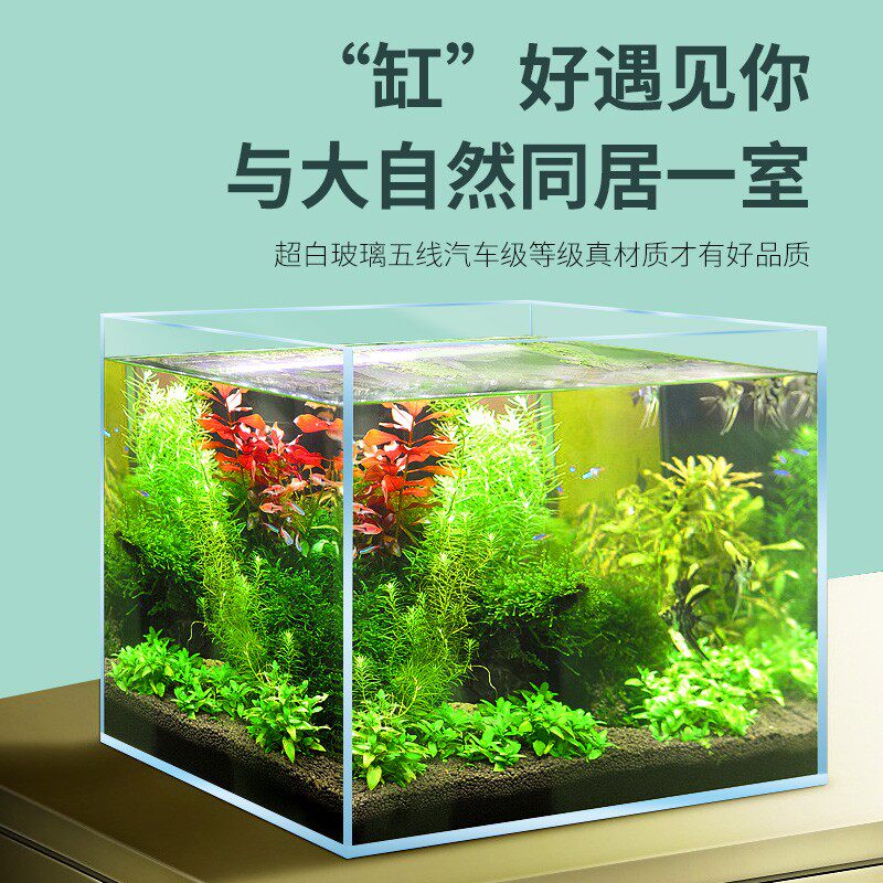 家用生态鱼缸超白玻璃小型客厅乌龟观赏鱼饲养造景生态金鱼水草缸图片