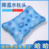 水枕头大人冰枕头冰垫冰枕夏季 成人冰凉枕头水袋水枕注水儿童降温