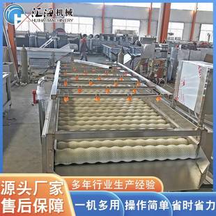 供应桔梗去皮机莴苣去皮机设备根茎类植物毛辊清洗机供应