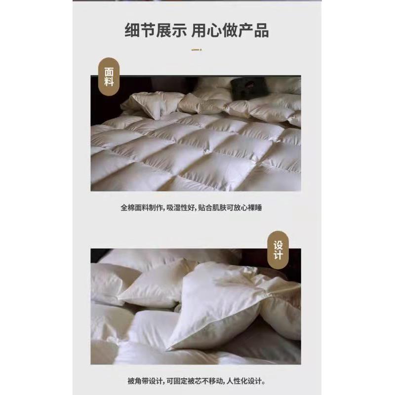 鹅绒被白鹅绒家用春秋款羽绒被加厚保暖95鹅绒可定制四季通用