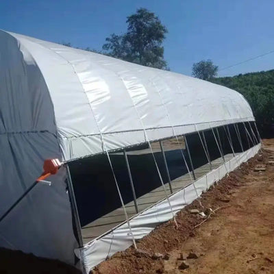 养鸡棚猪棚牛棚羊棚鸭棚鹅棚兔棚