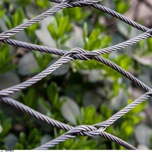 养殖场绿植攀爬绳网 动物园常用隔离防护网 屋顶防坠落卡扣绳网